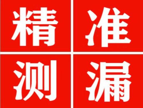 额敏尚嘉漏水精准查找